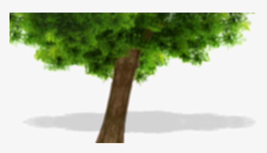 Mist, HD Png Download