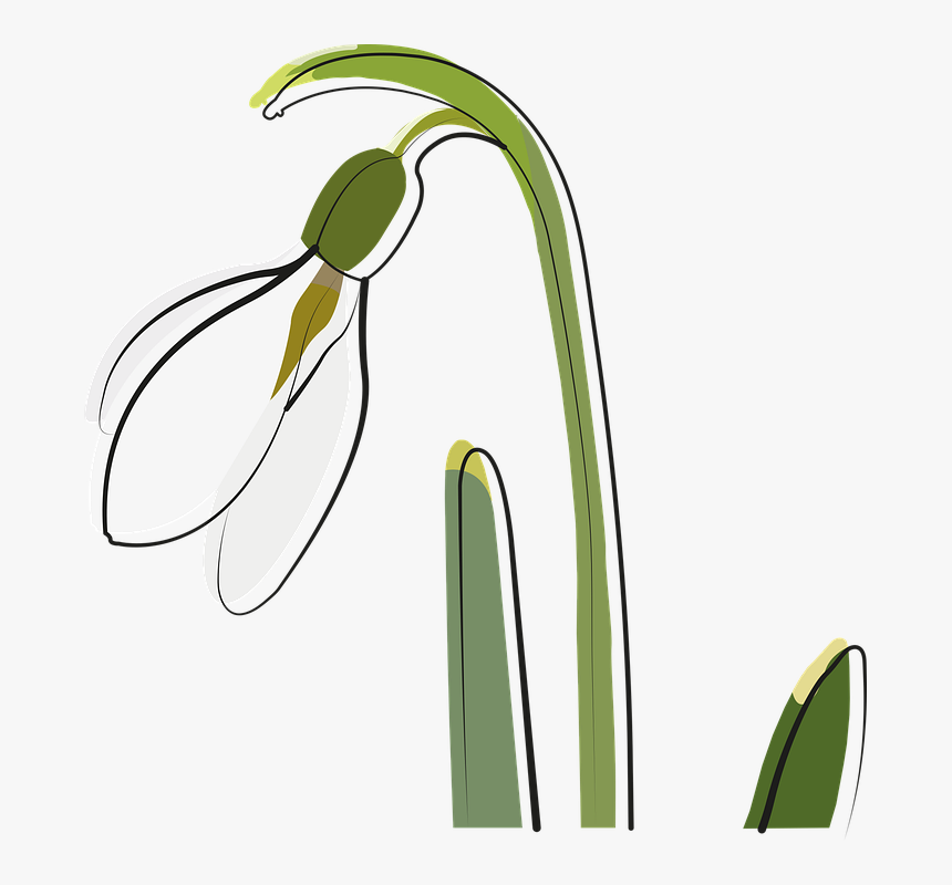 Clip Art, HD Png Download