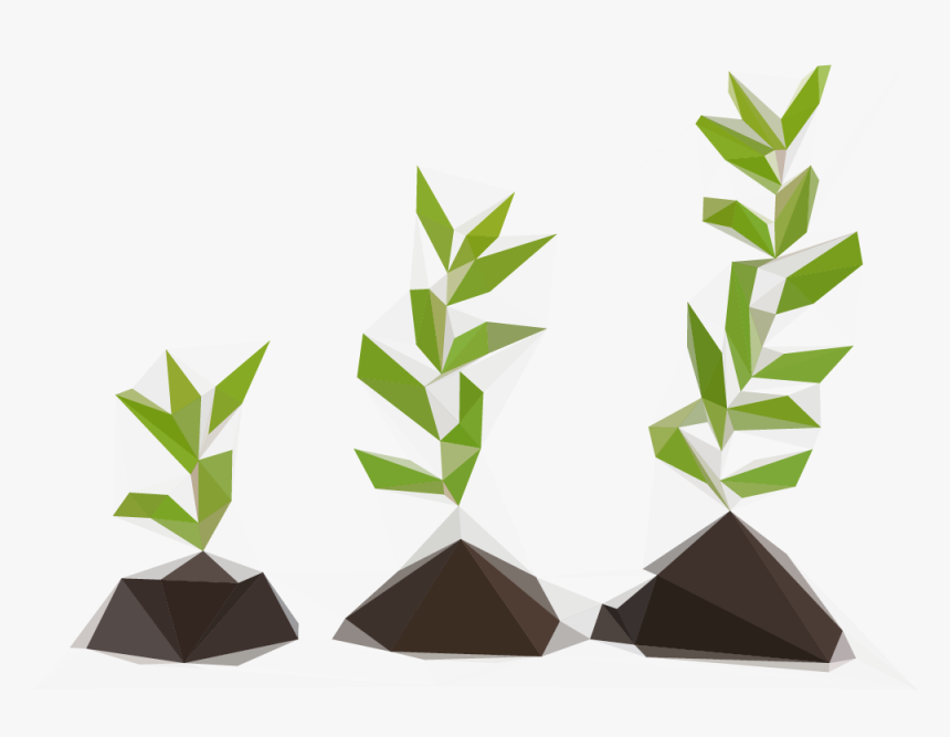 Saplingpoly - Imagenes Del Verbo Grow, HD Png Download