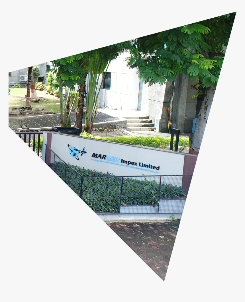 Office Triangle - Tree, HD Png Download