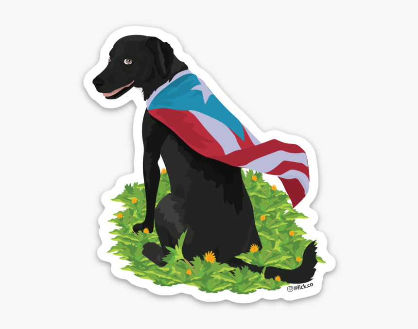 Dog Licks, HD Png Download