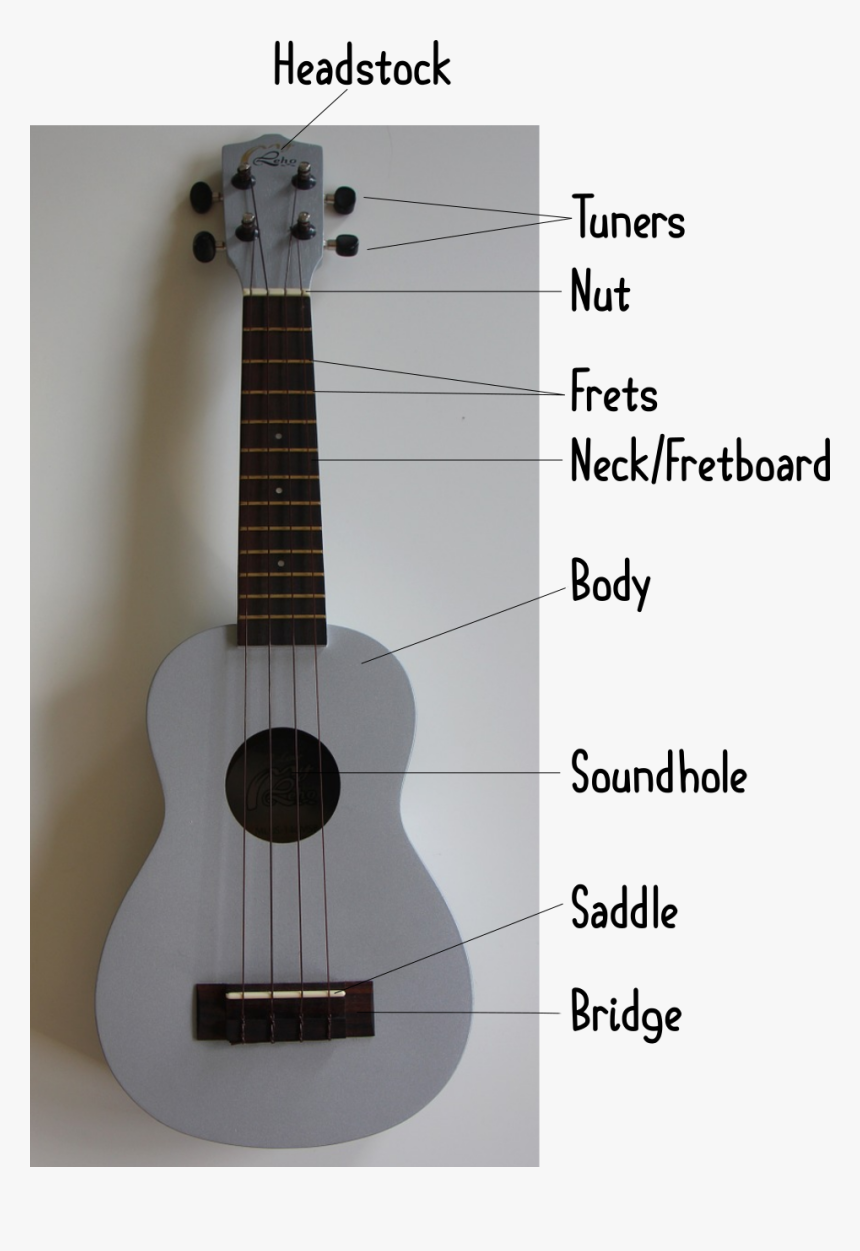 Bagian Bagian Pada Ukulele, HD Png Download