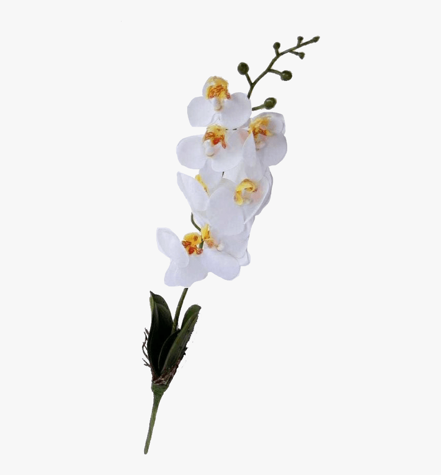 Artificial Flower, HD Png Download