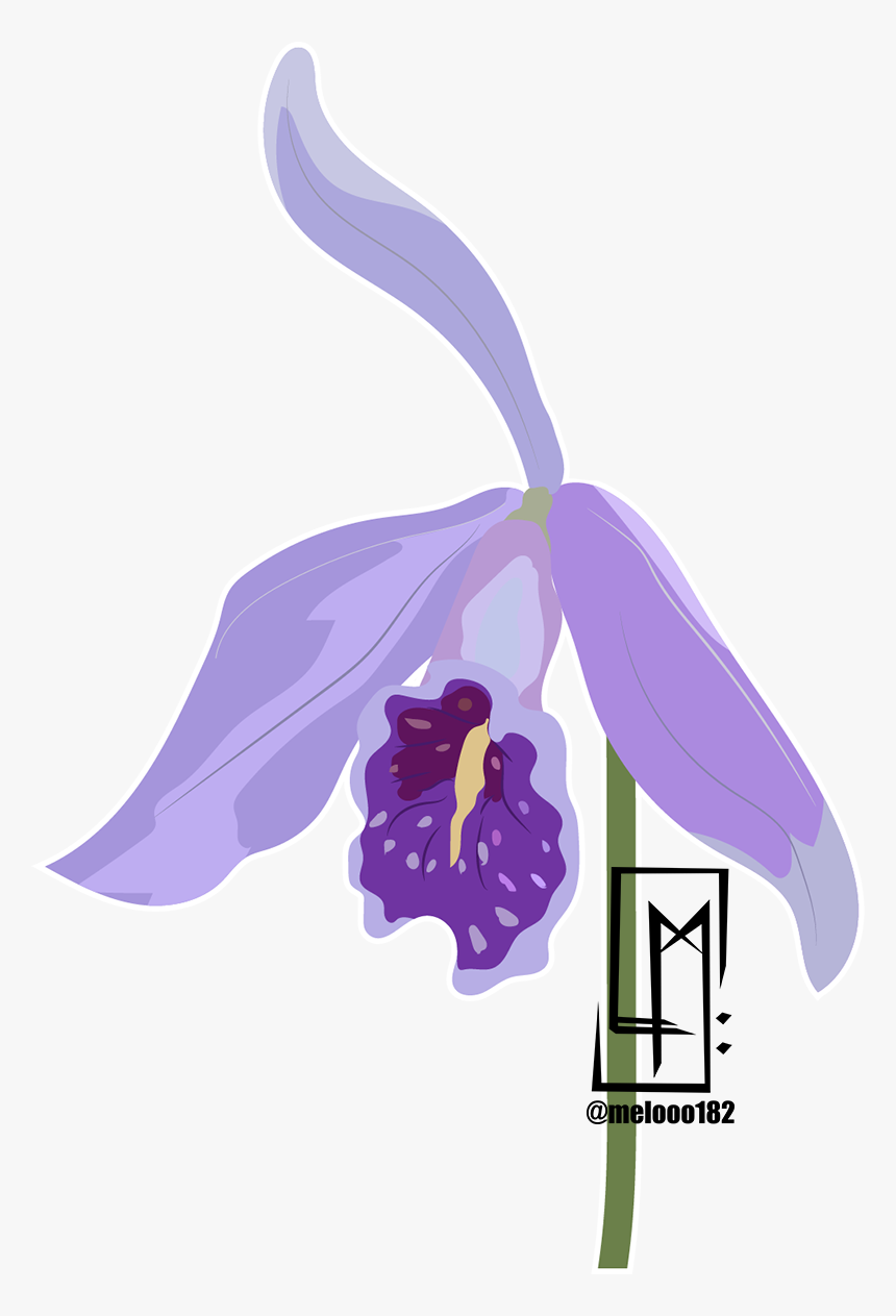 Moth Orchid, HD Png Download