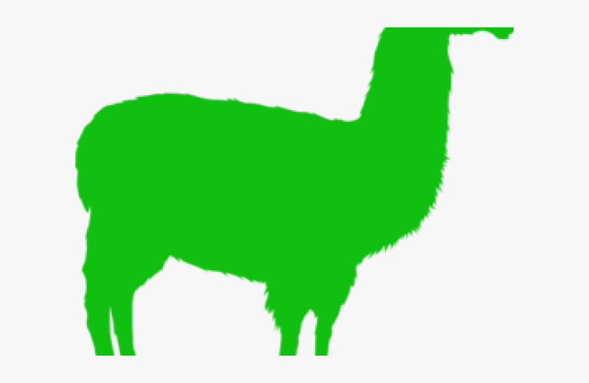 Llama, HD Png Download