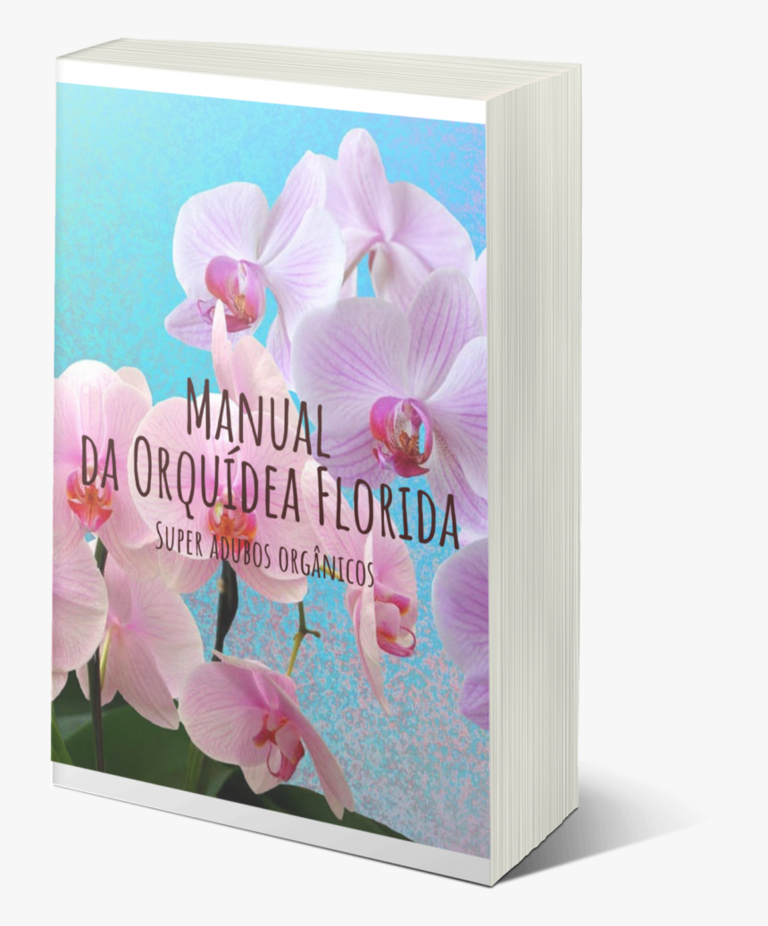Orchids, HD Png Download
