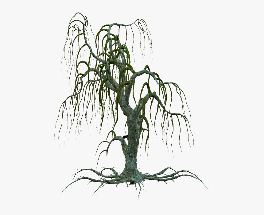 Arbre, Tube, Png, Feuilles, Paysage - Creepy Dead Tree Silhouette, Transparent Png