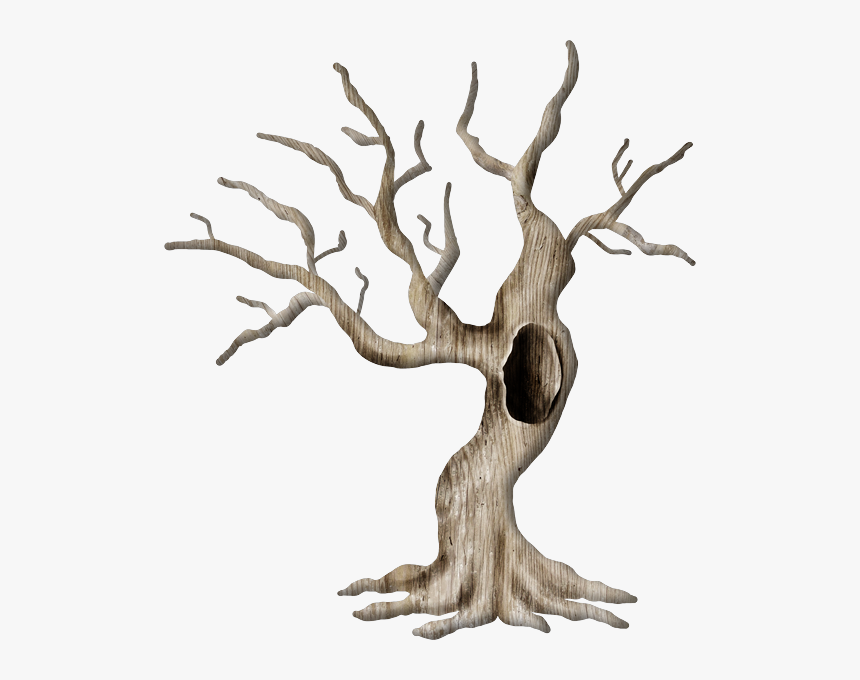 Tube Arbre,png - Tree, Transparent Png