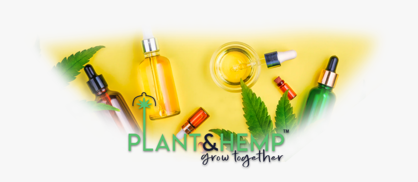 Glass Bottle, HD Png Download