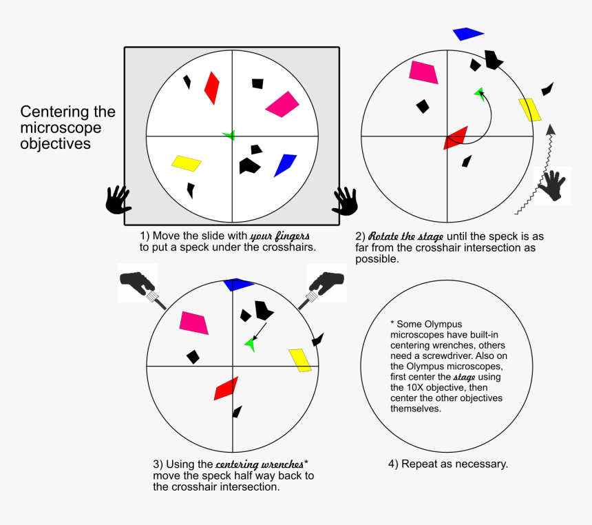 Circle, HD Png Download