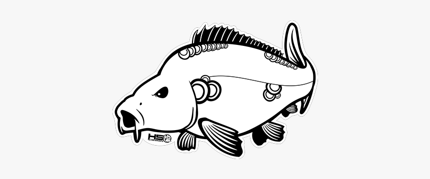 Wrasses, HD Png Download