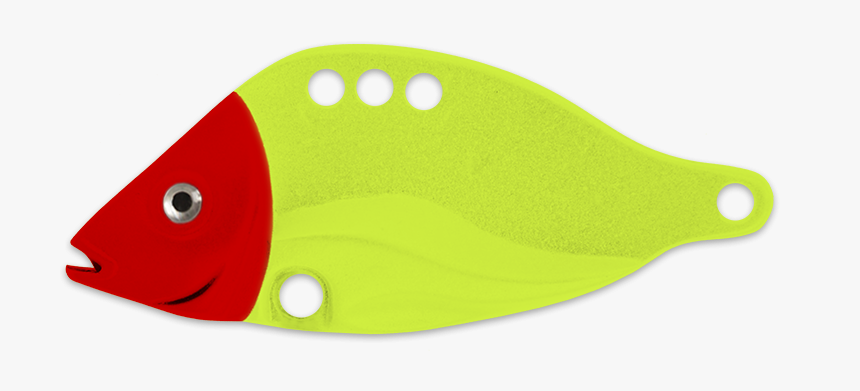 Coral Reef Fish, HD Png Download