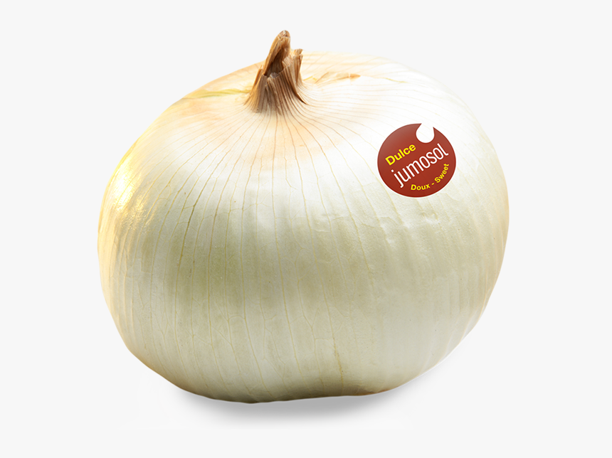 Cebolla De Fuentes De Ebro, HD Png Download