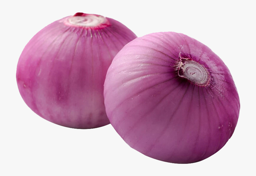 Onion, HD Png Download