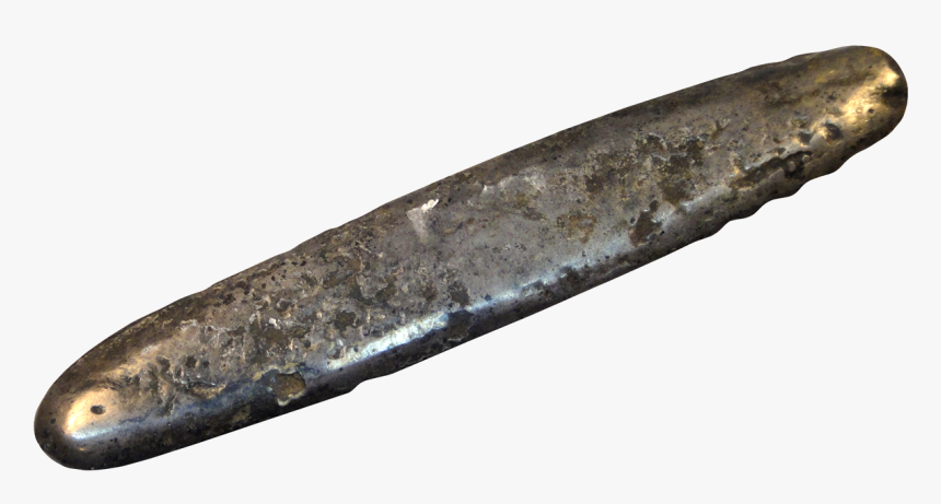 Sea Cucumber, HD Png Download