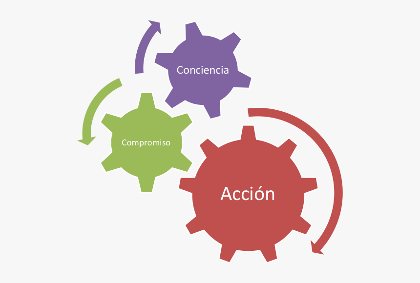 Coaching Ejecutivo De Psicopartner - Student Teacher Connection, HD Png Download