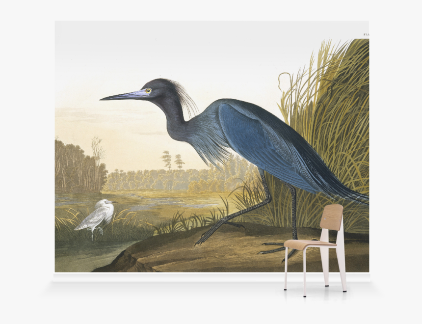 John James Audubon, HD Png Download