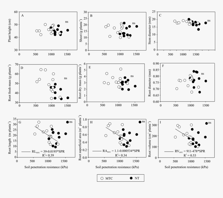 Number, HD Png Download