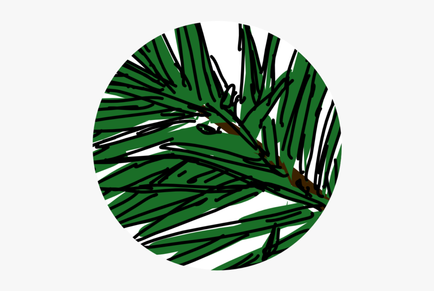 Circle, HD Png Download