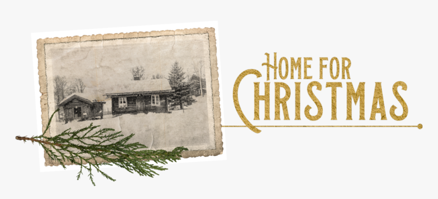 Christmas Logo Web - Christmas Tree, HD Png Download