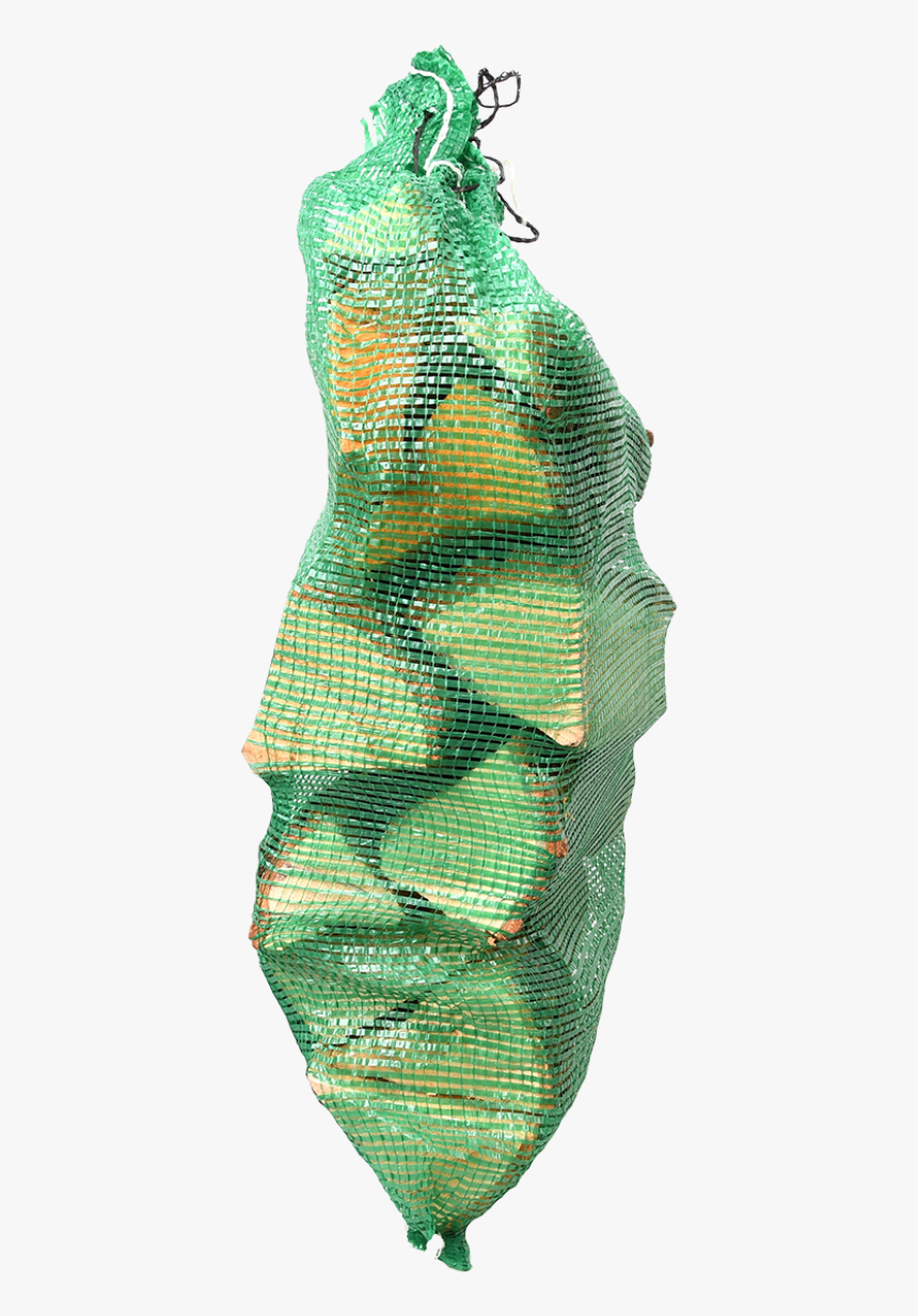 Mixed Fire Wood In Net - Pupa, HD Png Download