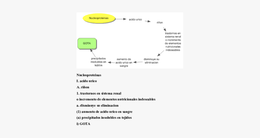 Document, HD Png Download