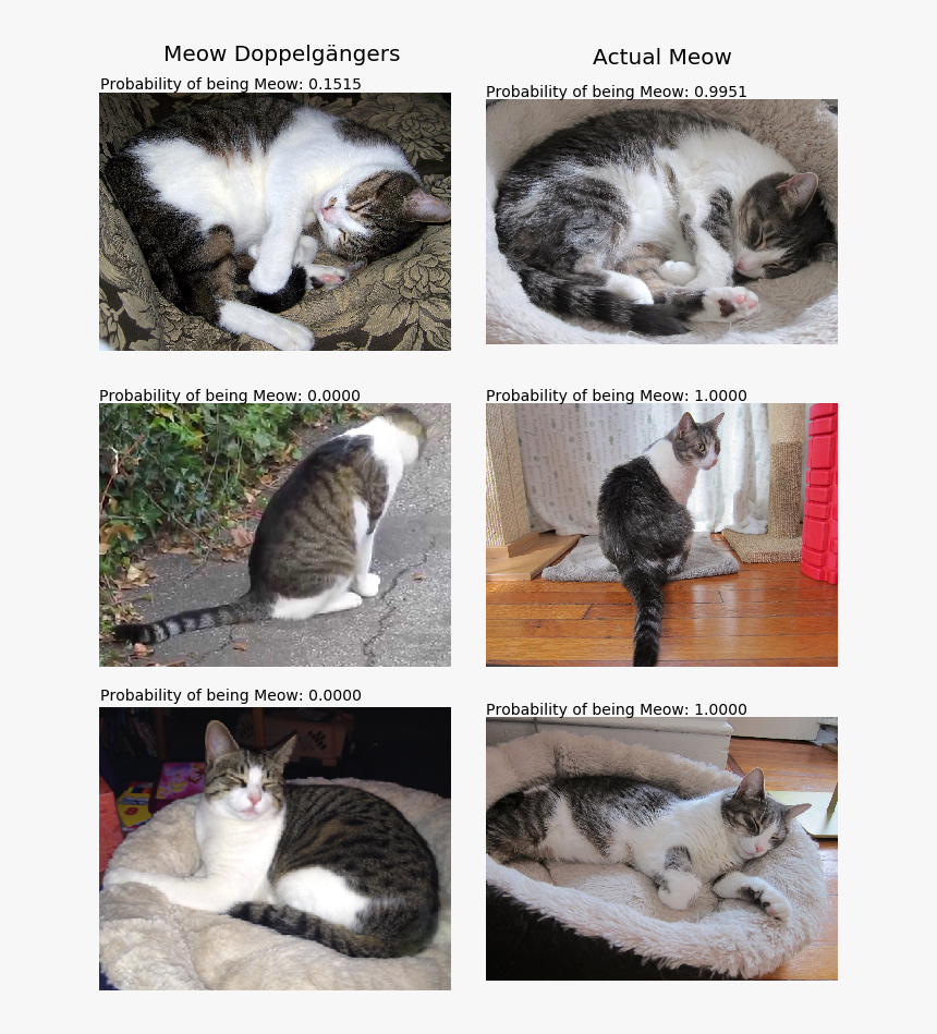 Meow Alike1 - Cat Yawns, HD Png Download