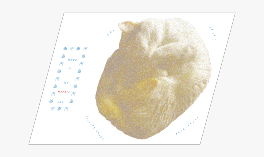 Publication Exceort Fortune Teller Reverse, HD Png Download