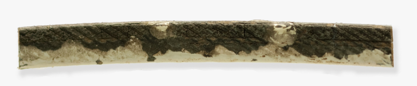 File - Qc-montrealforum - Burmese Python, HD Png Download