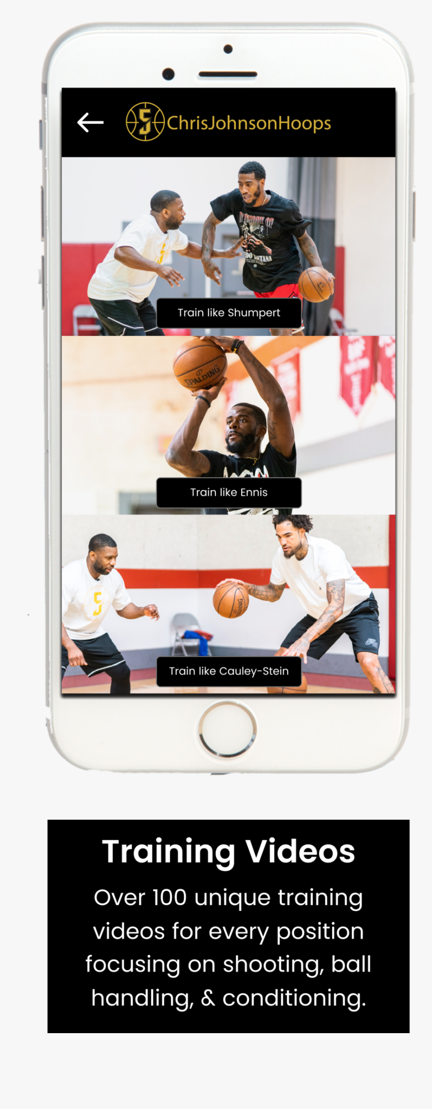 Group 272 - Banner, HD Png Download