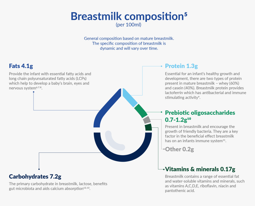 Composition Of Breast Milk, HD Png Download