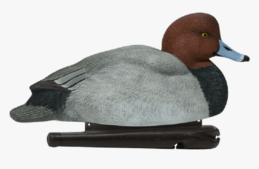 Avian-x, HD Png Download