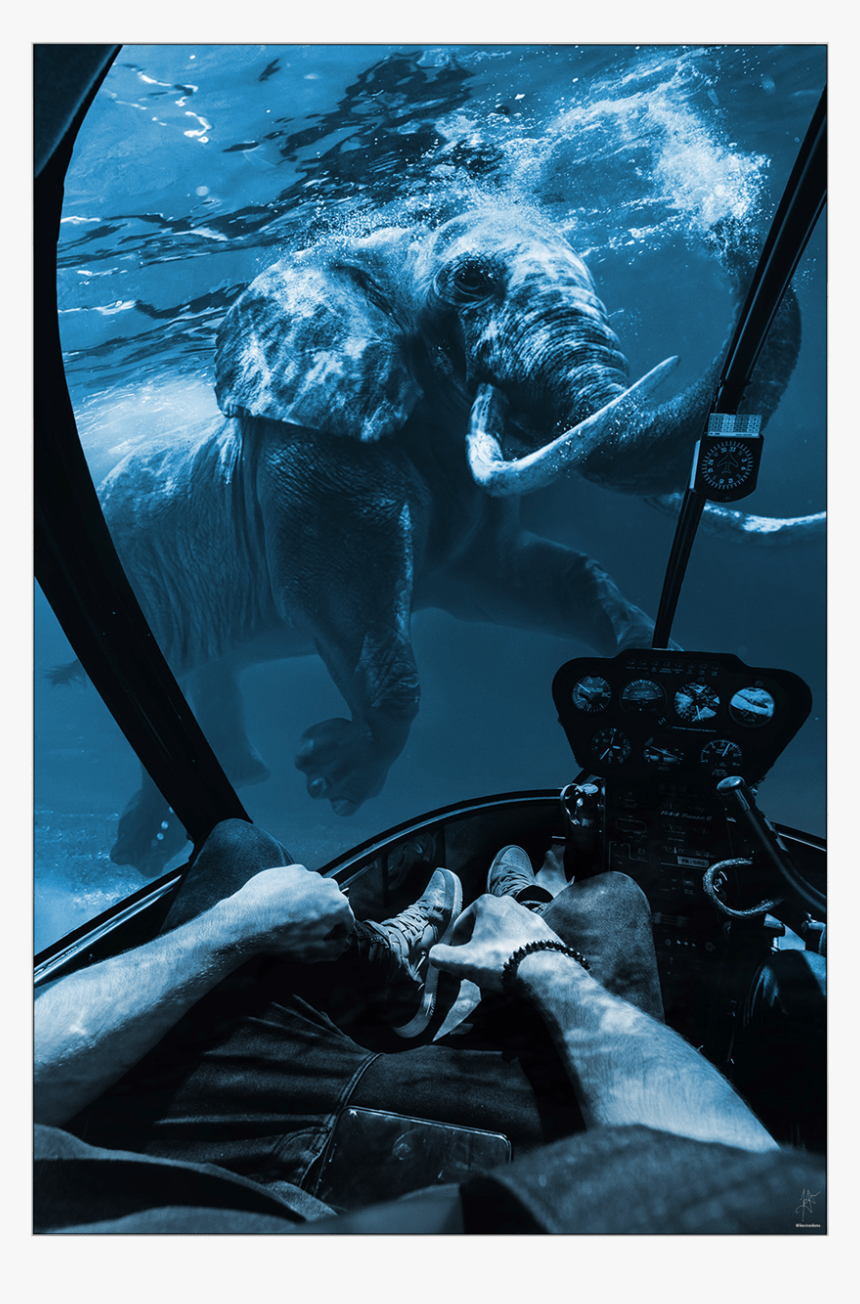 Large Wall Decor Surreal Underwater Elephant Drowning - Underwater, HD Png Download