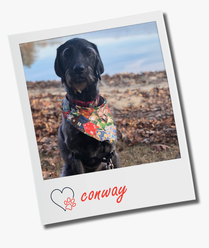 Harrow London Borough Council, HD Png Download