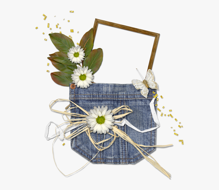 Camomile, HD Png Download