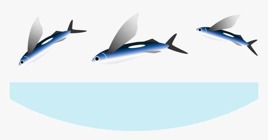 Wide-body Aircraft, HD Png Download