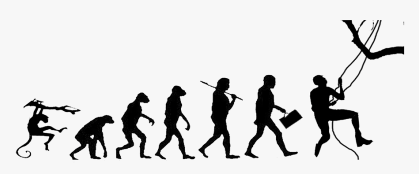 Evolution, HD Png Download