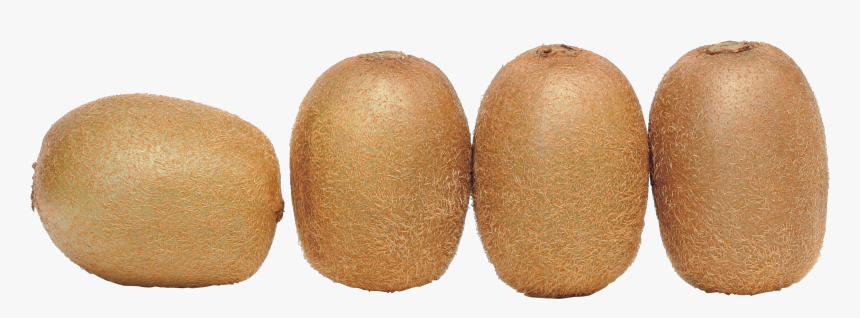 Portable Network Graphics, HD Png Download