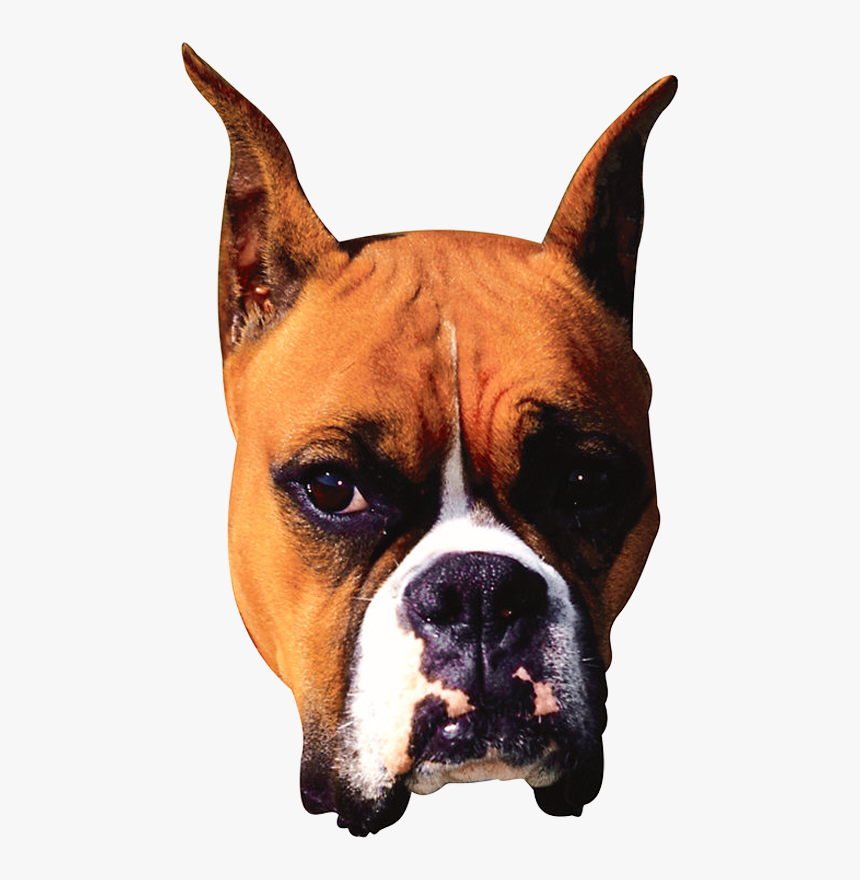 Boxer, HD Png Download