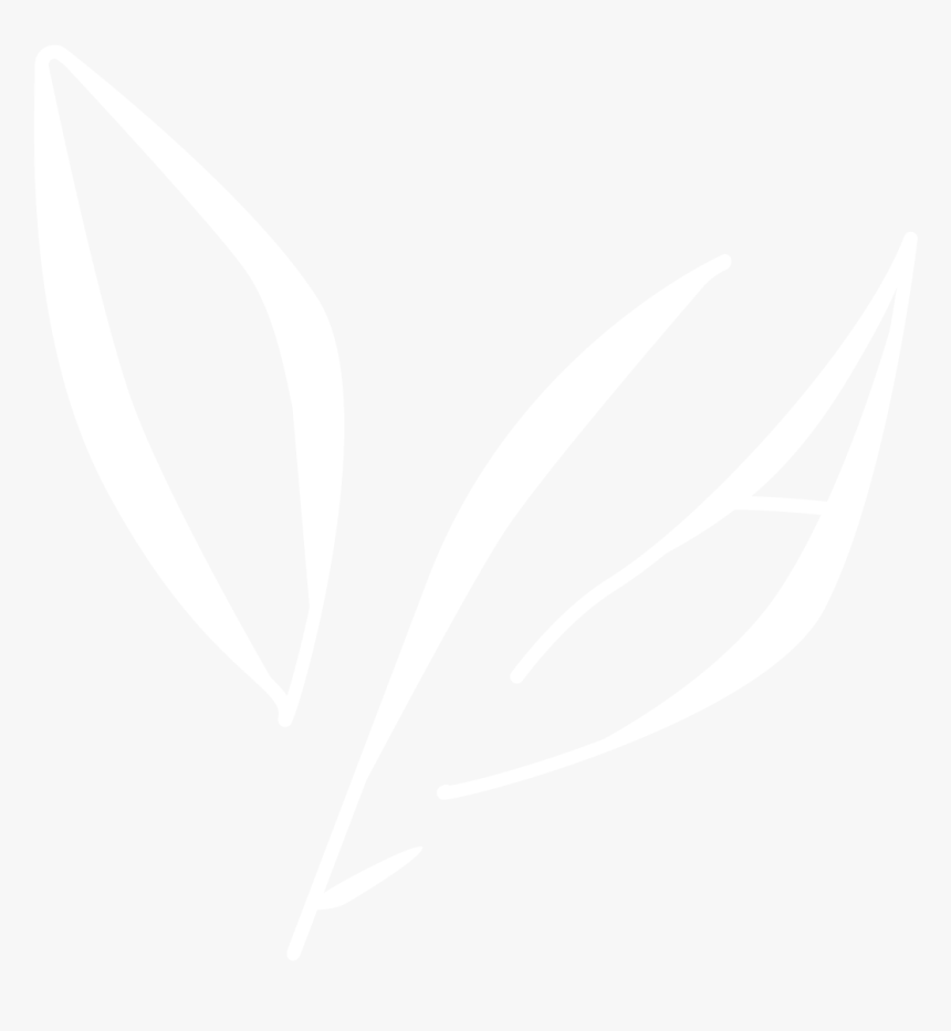 Logo - Johns Hopkins Logo White, HD Png Download