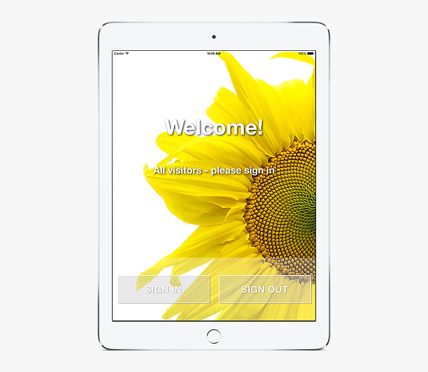 Sunflower, HD Png Download