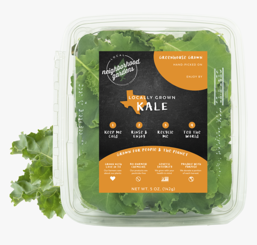 Kale Sample - Kale, HD Png Download