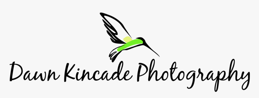 Moments, HD Png Download