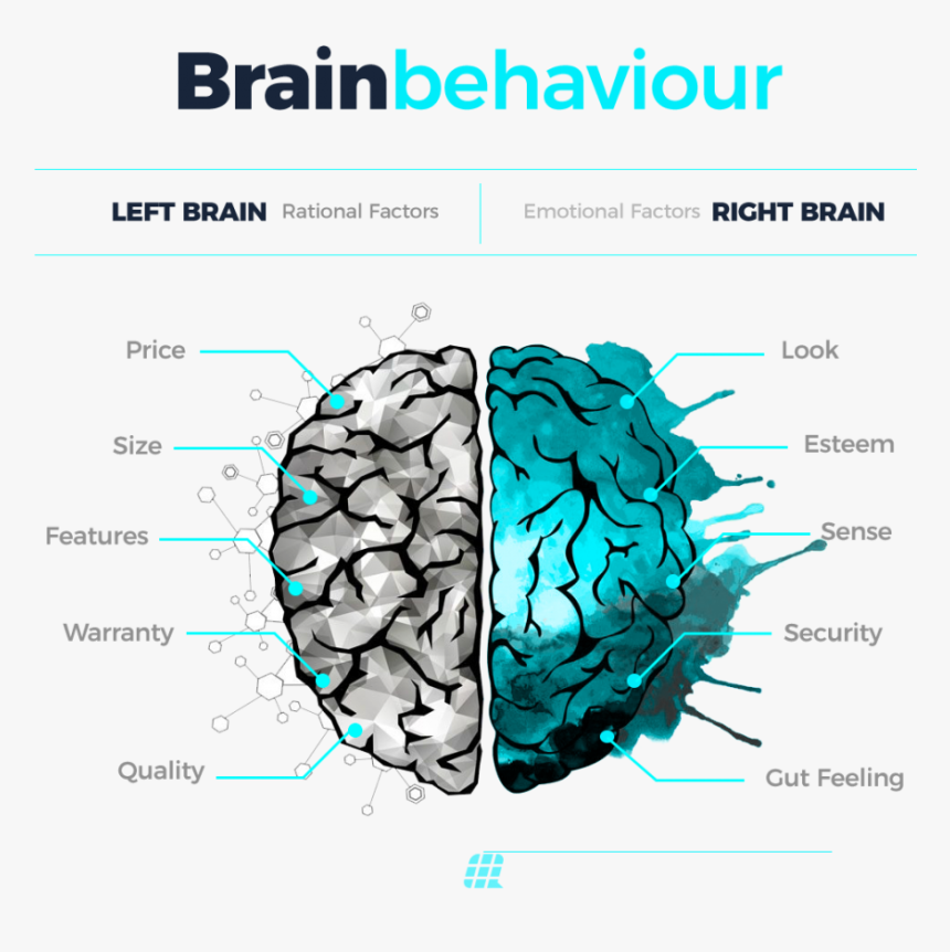Brain Behavior - Brain Drawings Half And Half, HD Png Download