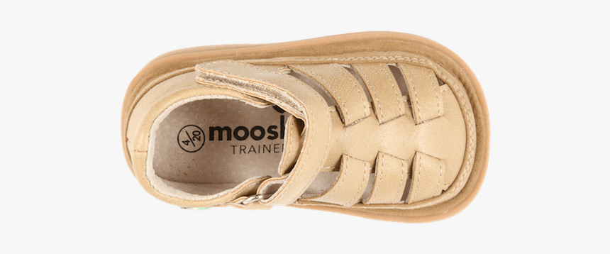 Ballet Flat, HD Png Download