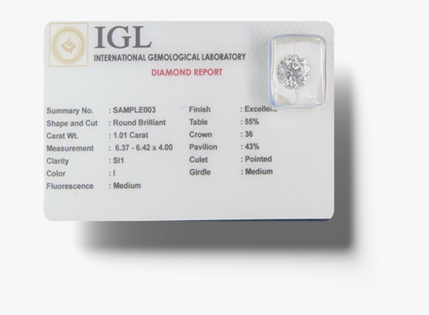 Bee, HD Png Download