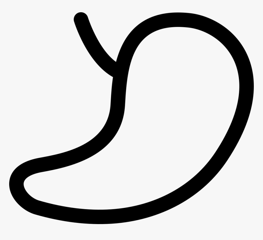 Svg Png Icon Free - Png Outline Of Kidney, Transparent Png