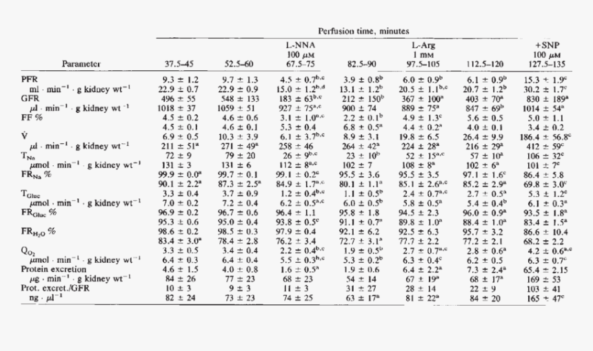 Document, HD Png Download