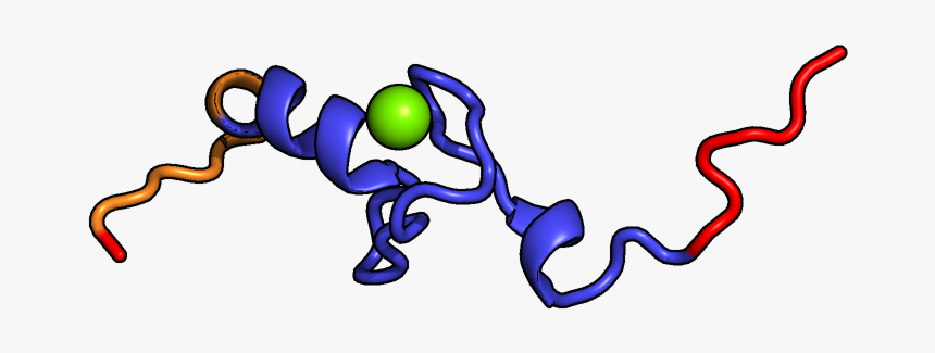 Poison Dart Frog, HD Png Download