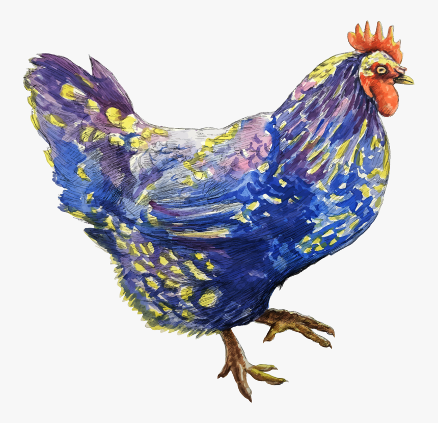 Poultry,livestock,fowl - Chicken, HD Png Download